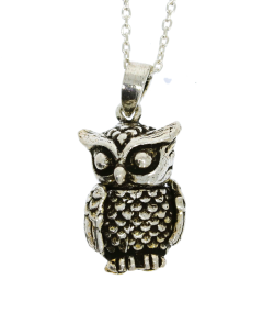 Pendants Sterling Silver Owl on Sterling Silver Trace Chain