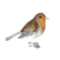 British Wildlife Sterling Silver & Enamel Robin Garden Bird By Saturno Figurine