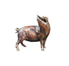 British Wildlife Solid Bronze Animal /Pig (808) By Michael Simpson Farmyard Sculpture