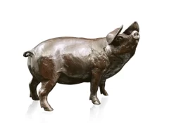 British Wildlife Solid Bronze Pig Gloucester Old Spot (943) by Michael Simpson